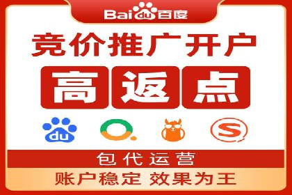 百度竞价SEM深度解析：某行业成功推广经验